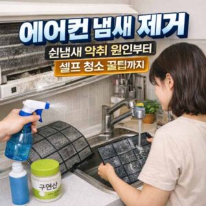 에어컨 냄새 제거
