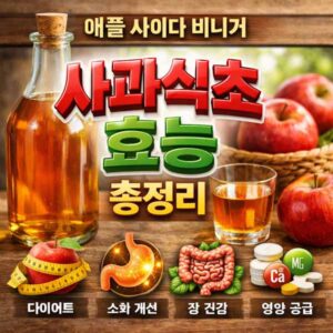 사과식초 효능