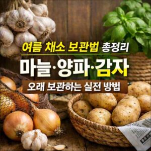 여름 채소 보관법