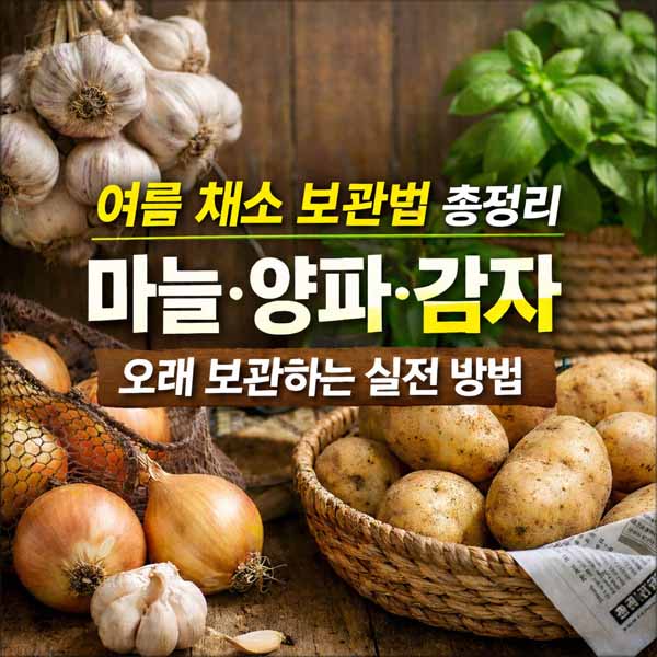 여름 채소 보관법