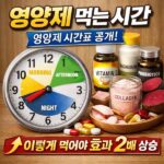 영양제 먹는 시간