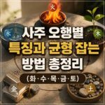 사주 오행별 조언