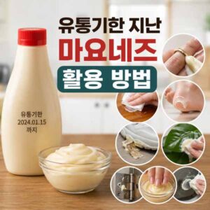 유통기한 지난 마요네즈 활용 방법