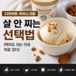 다이어트 아이스크림