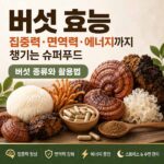 버섯 효능
