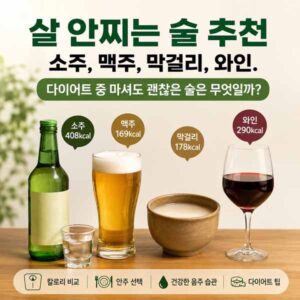 살 안찌는 술