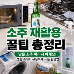 소주 재활용
