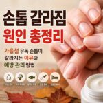 손톱 갈라짐