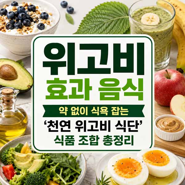위고비 효과 음식