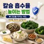 칼슘 흡수 높이는 방법