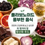 플라보노이드 풍부한 음식