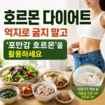 호르몬 다이어트