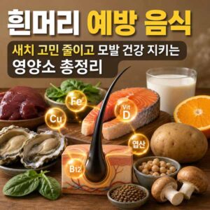 흰머리 예방 음식