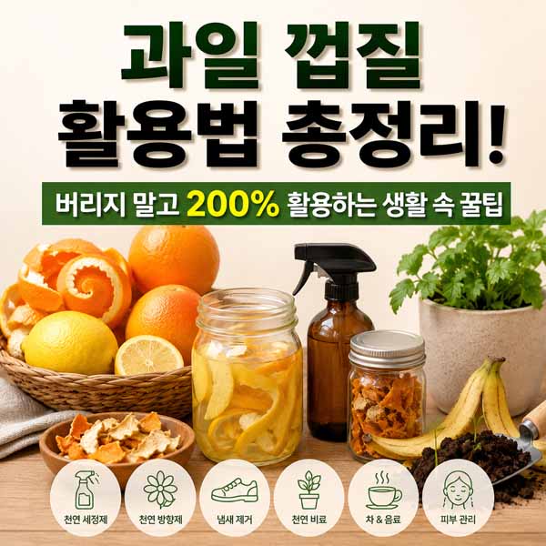 과일 껍질 활용법