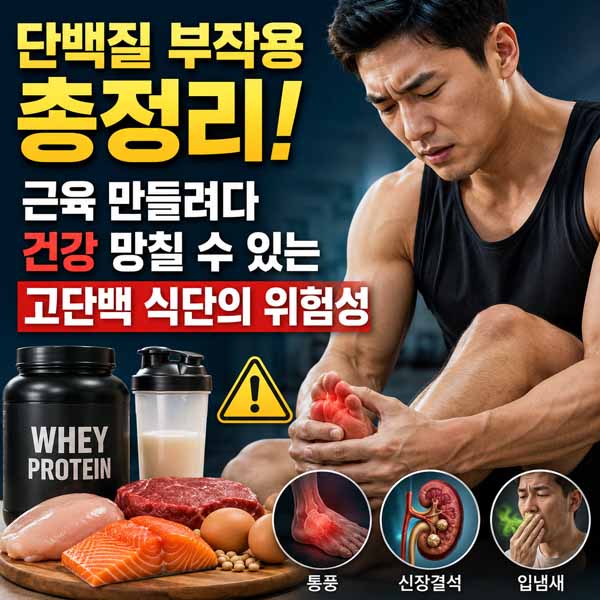 단백질 부작용