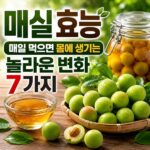 매실 효능