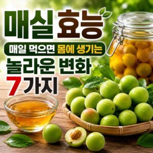 매실 효능