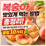 복숭아 맛있게 먹는 방법