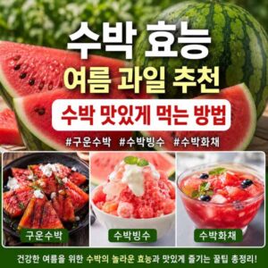 수박 효능