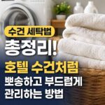 수선 세탁법