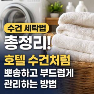 수선 세탁법