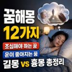 꿈해몽