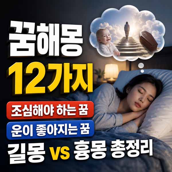 꿈해몽