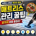 매트리스 관리