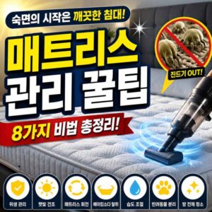 매트리스 관리