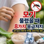 모기 물렸을 때 가려움