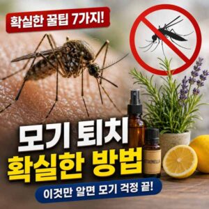 모기 퇴치