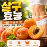 살구 효능