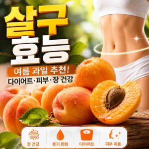 살구 효능