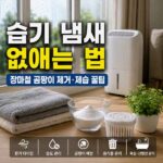 습기 냄새 없애는 법