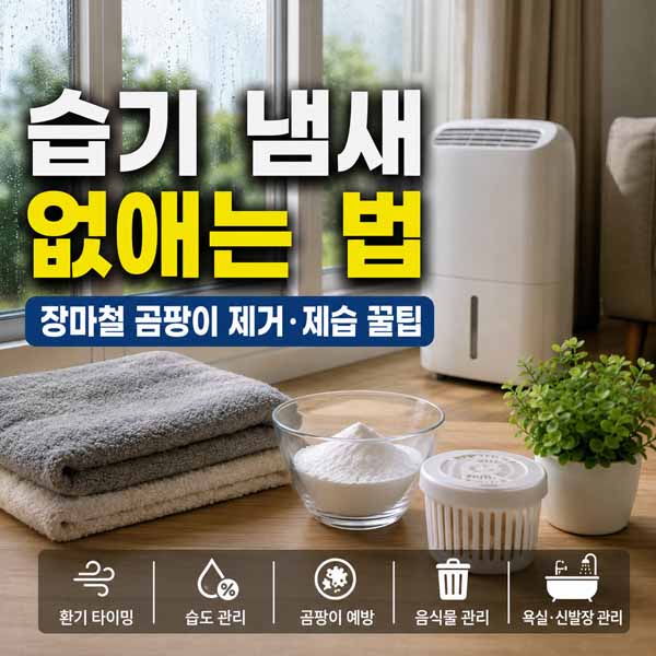 습기 냄새 없애는 법