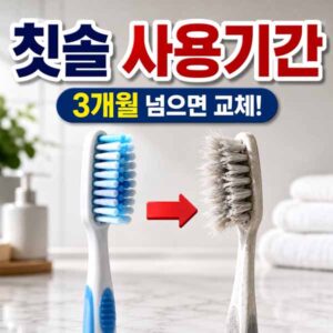 칫솔 사용기간