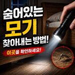 숨어있는 모기